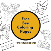 coloring bee