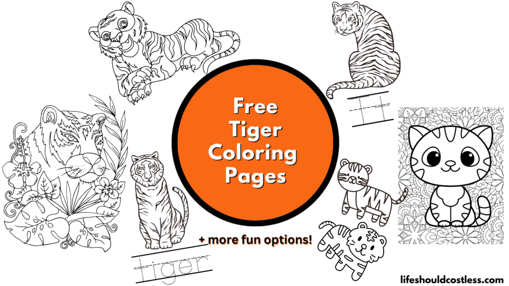 coloring page of a tiger