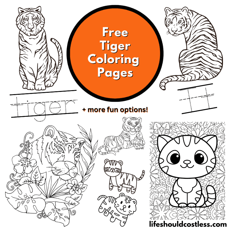 coloring page tiger