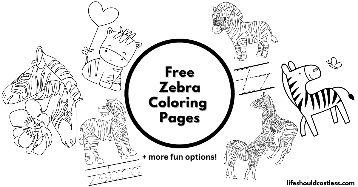easy baby zebra coloring pages