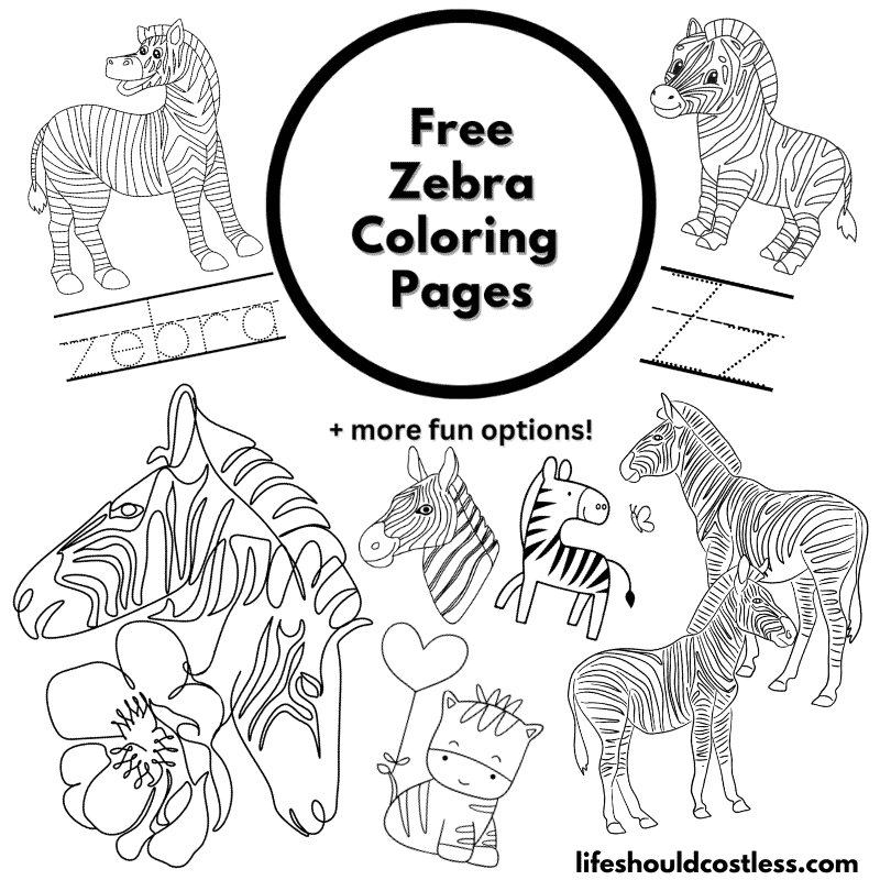 colouring pages zebra
