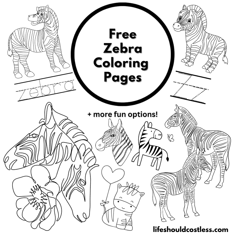 coloring pages of zebras