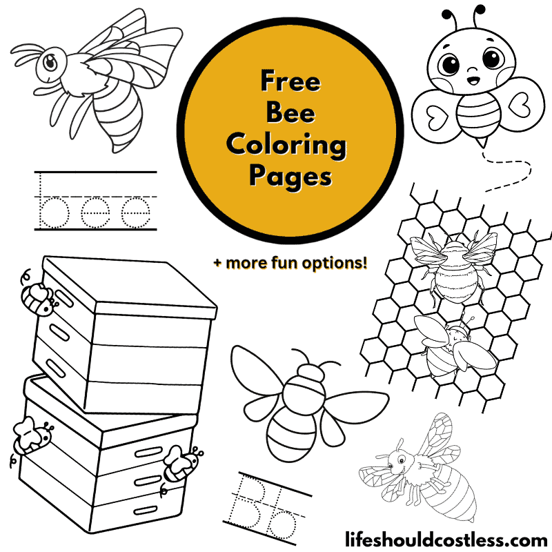 cute bee coloring pages