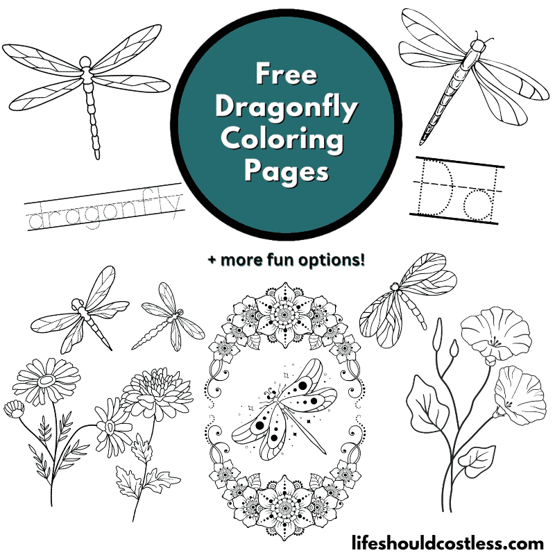 dragonfly coloring pages free