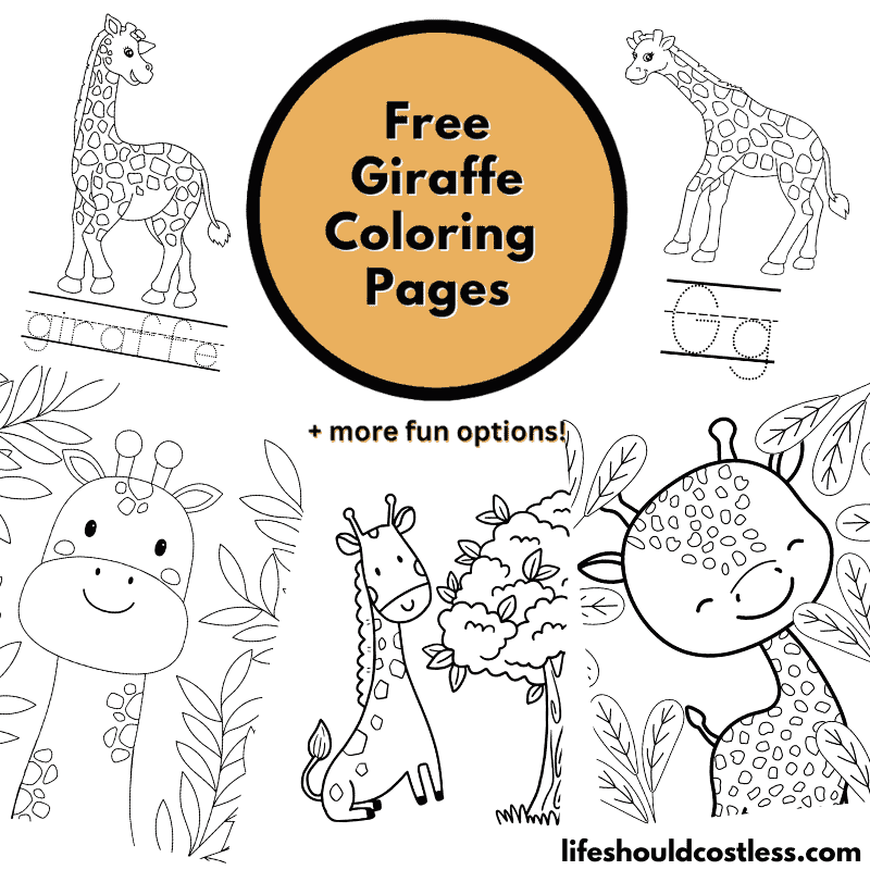 giraffe for colouring