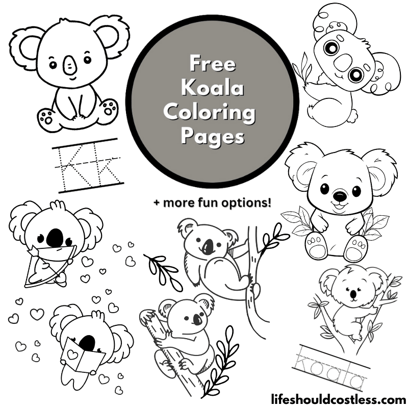 koala coloring page