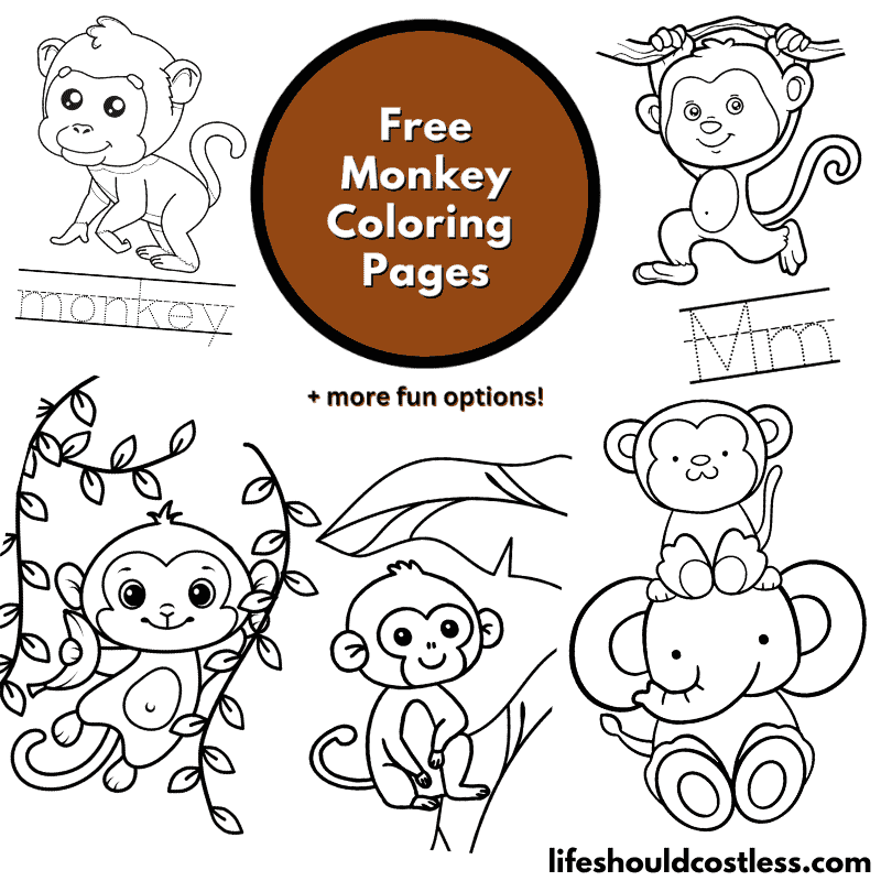monkey coloring pages printable