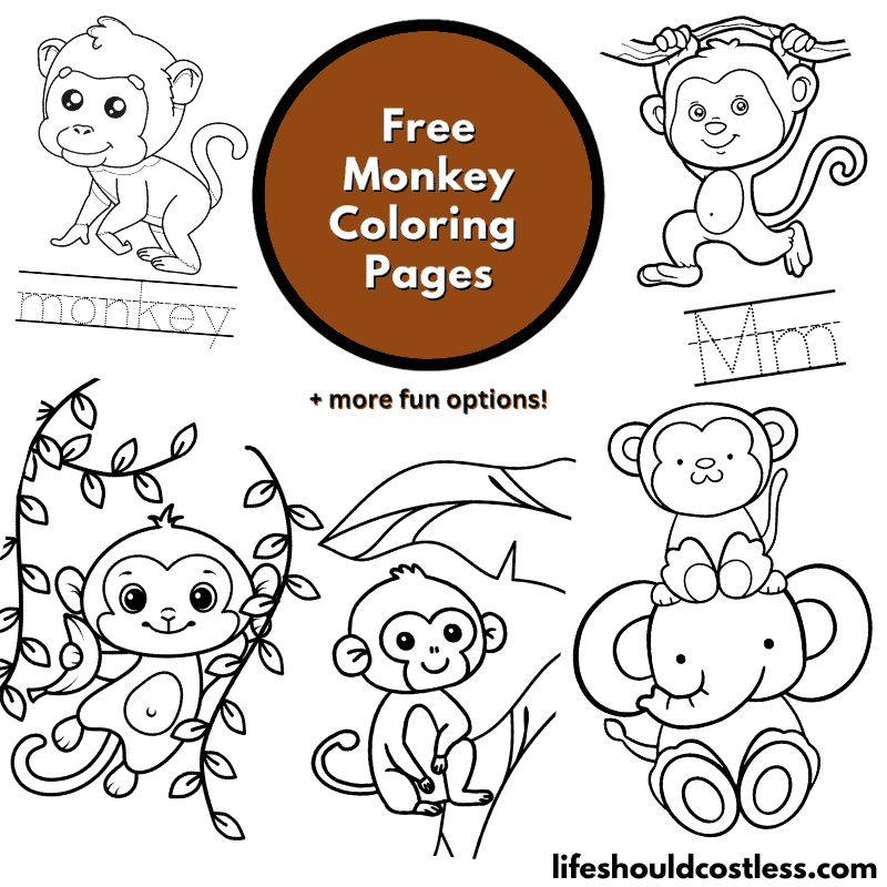 Free Printable Monkey Coloring Pages