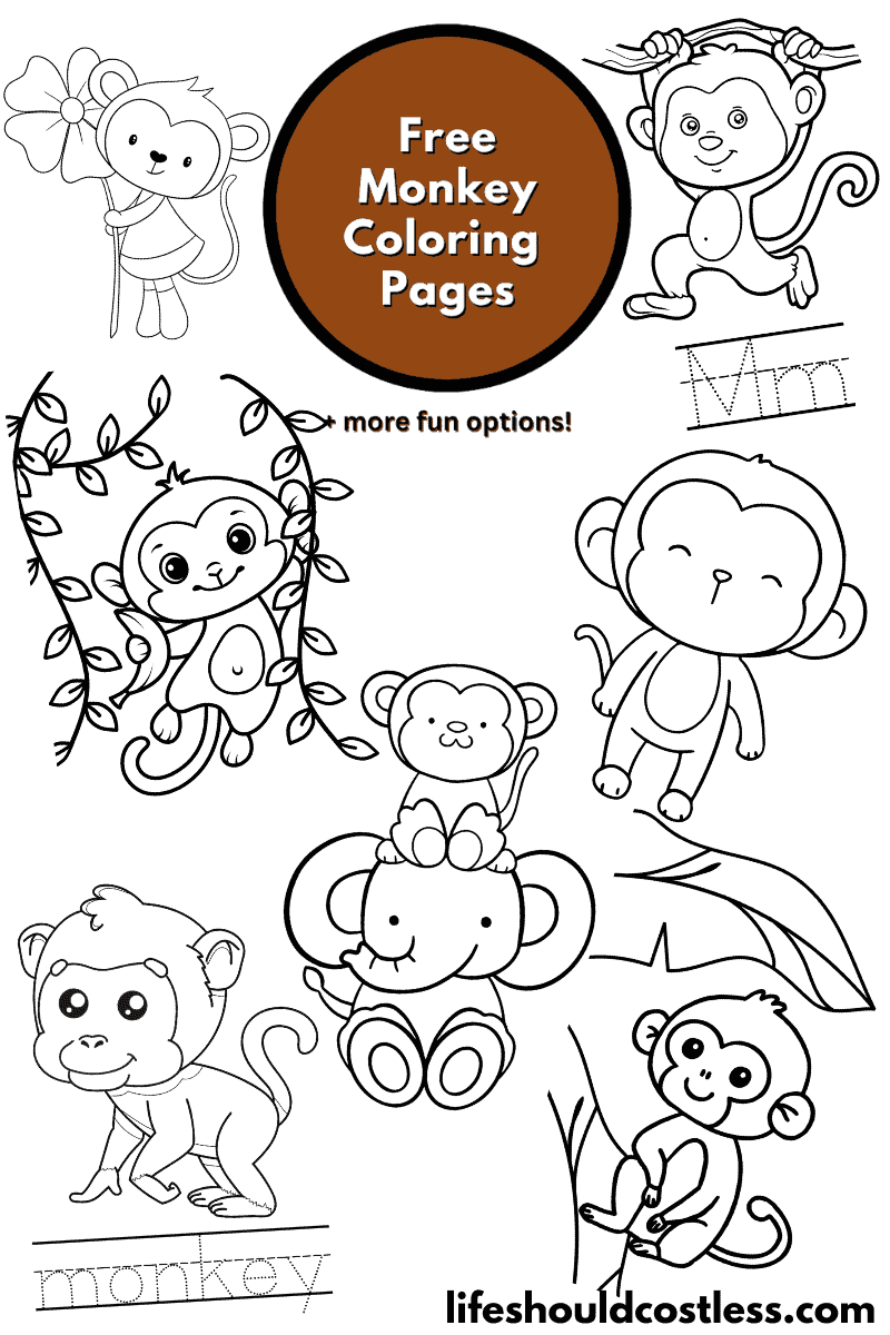 mouses first spring coloring pages