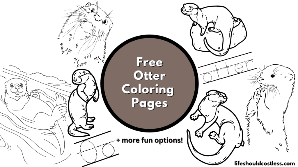 printable otter coloring pages