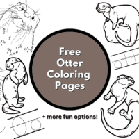 printable otter coloring pages