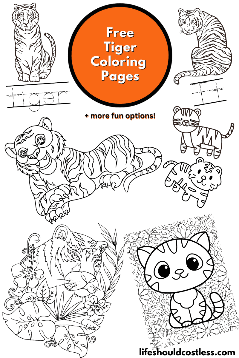 tigger face coloring pages
