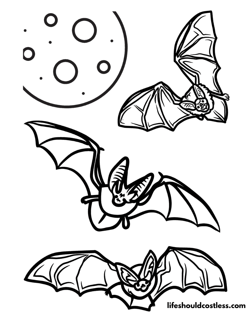 Bats Coloring Pages Example