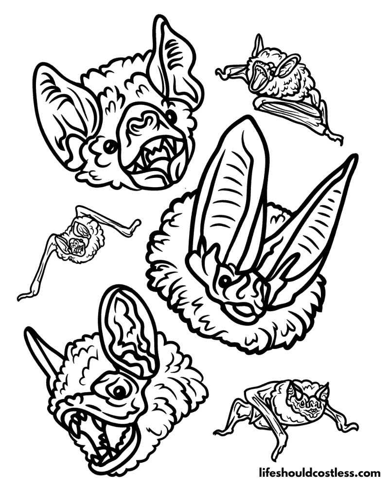 Coloring Page Bat Example