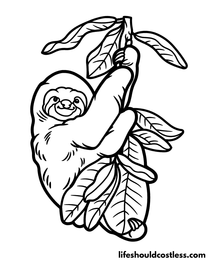 Coloring pages of a sloth example