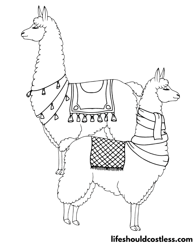 Coloring pages of llamas example