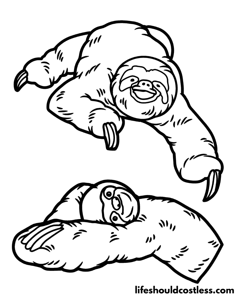 Coloring pages of sloths example
