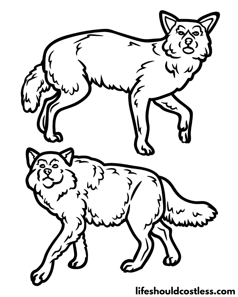 Coloring pages of wolves example