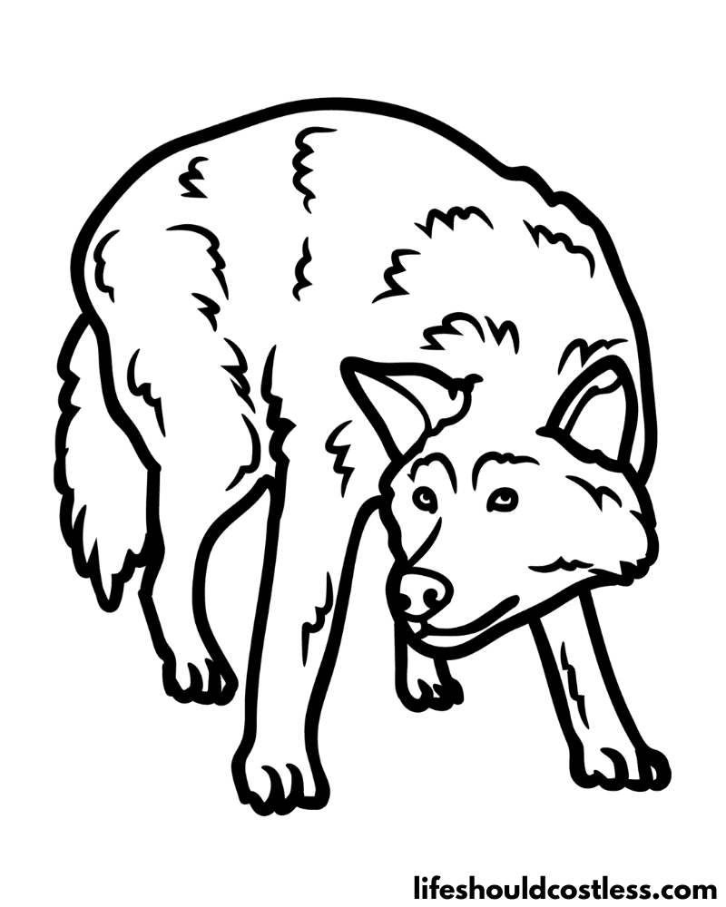 Coloring pages wolf example