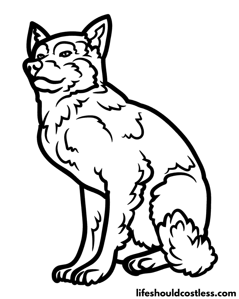 Colouring page wolf example