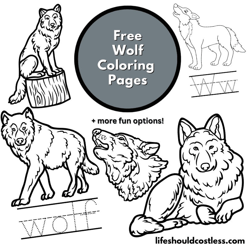 Colouring pages wolf