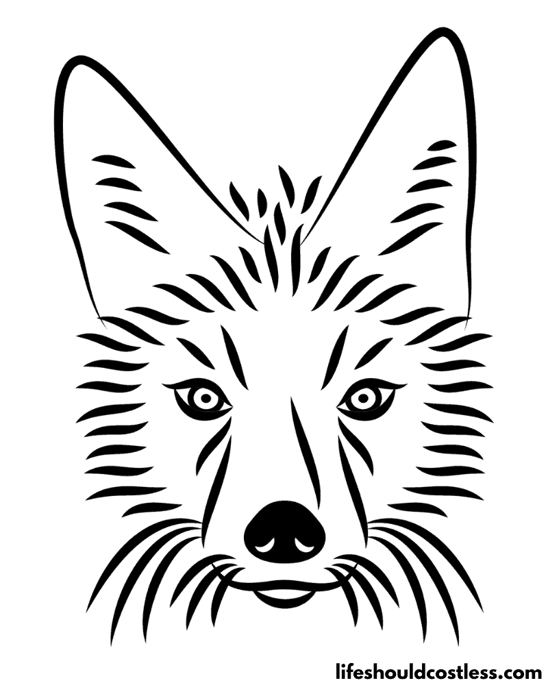 Coyote coloring page example