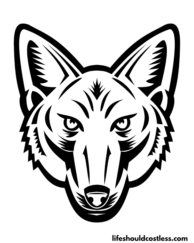 Coyote coloring picture example