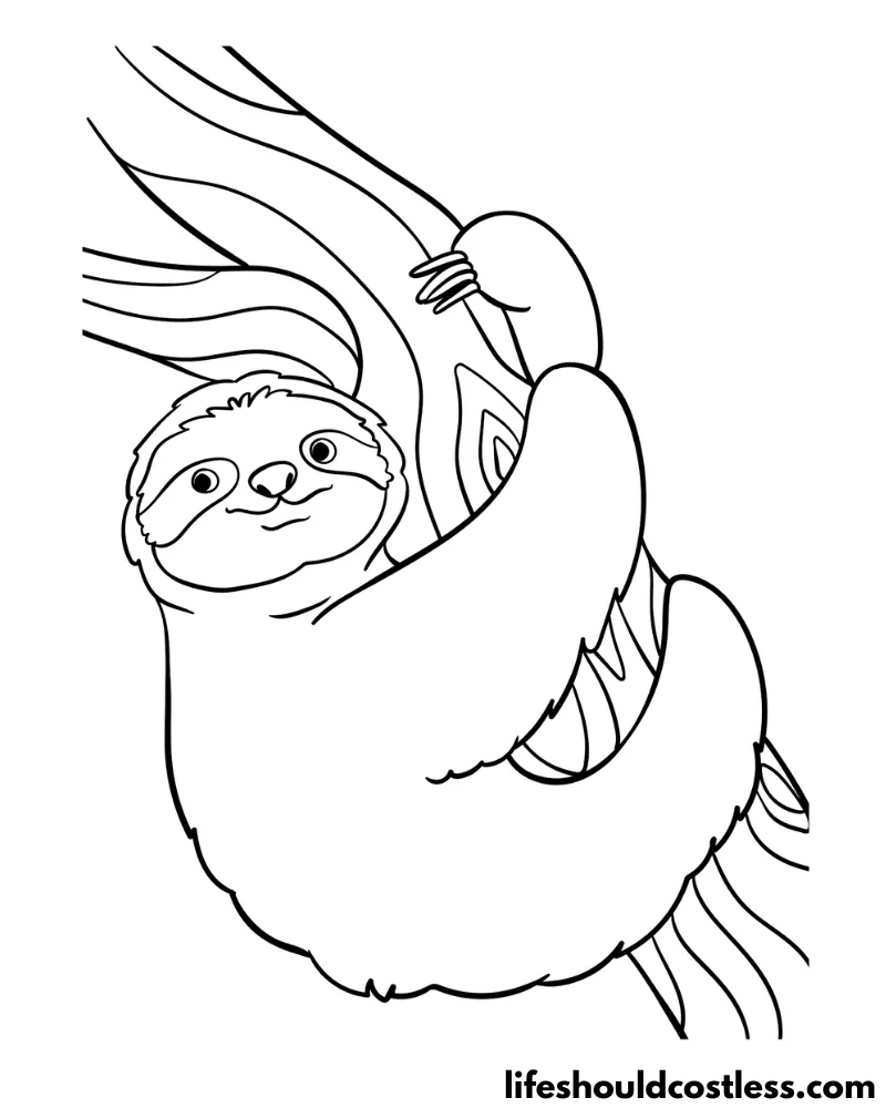 Cute sloth coloring pages example