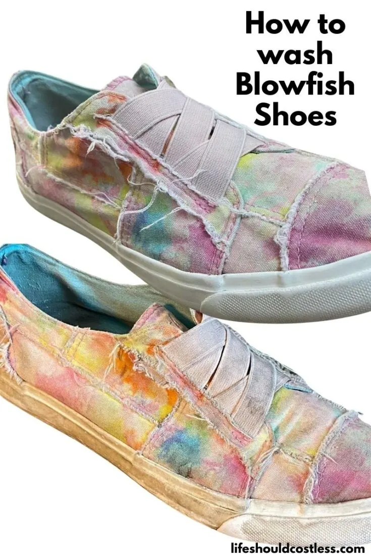 Blowfish hotsell canvas shoes