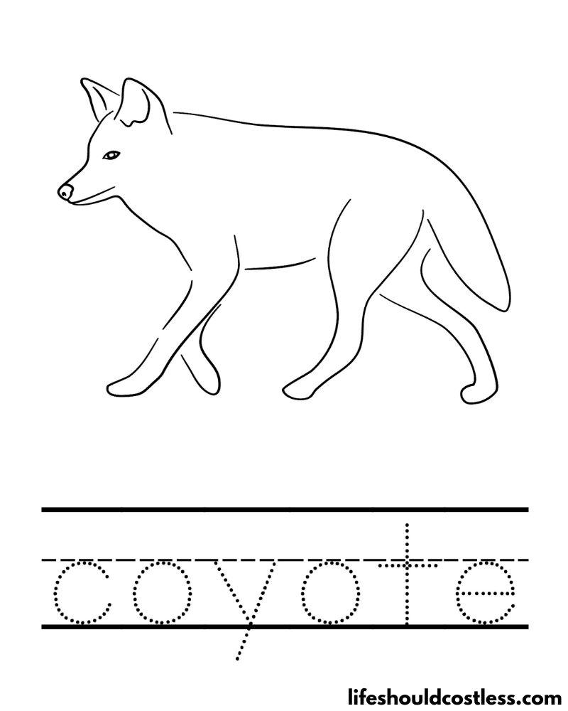 Letter C is for coyote worksheet example