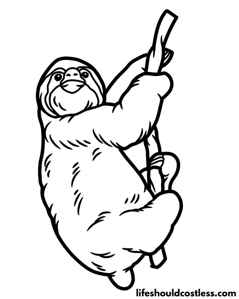 Sloth coloring sheets example
