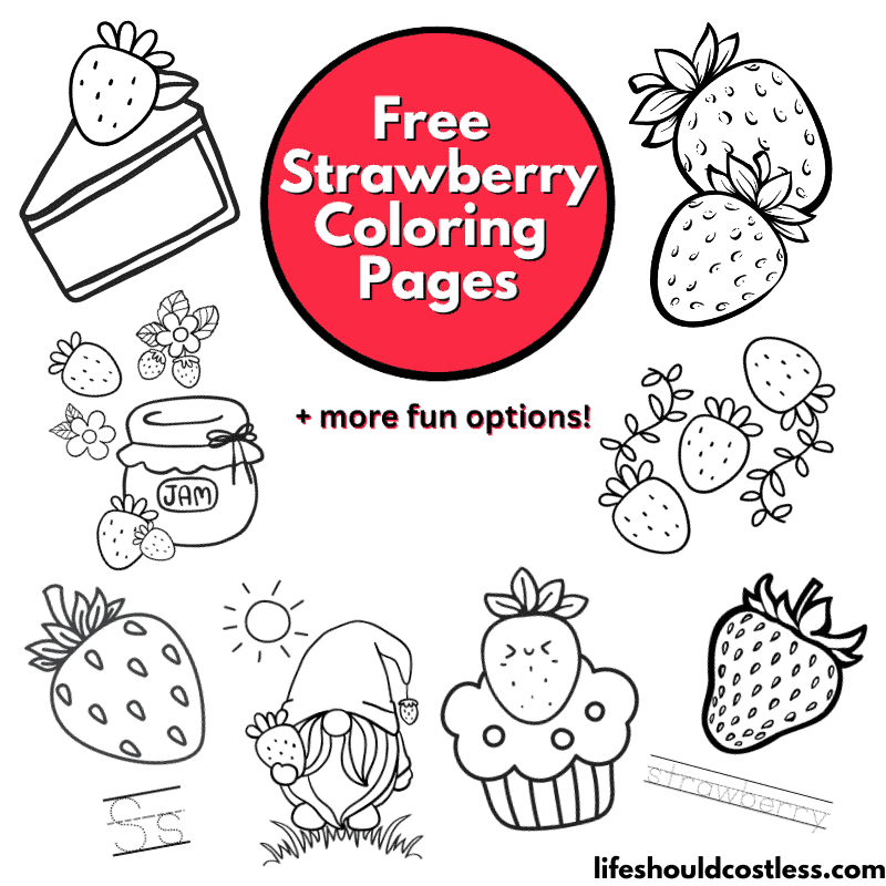 Strawberry Coloring Sheet - Reading adventures for kids ages 3 to 5