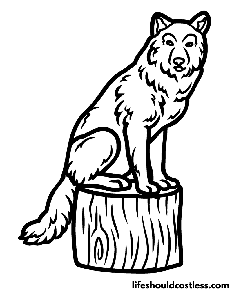 Wolf colouring pages example