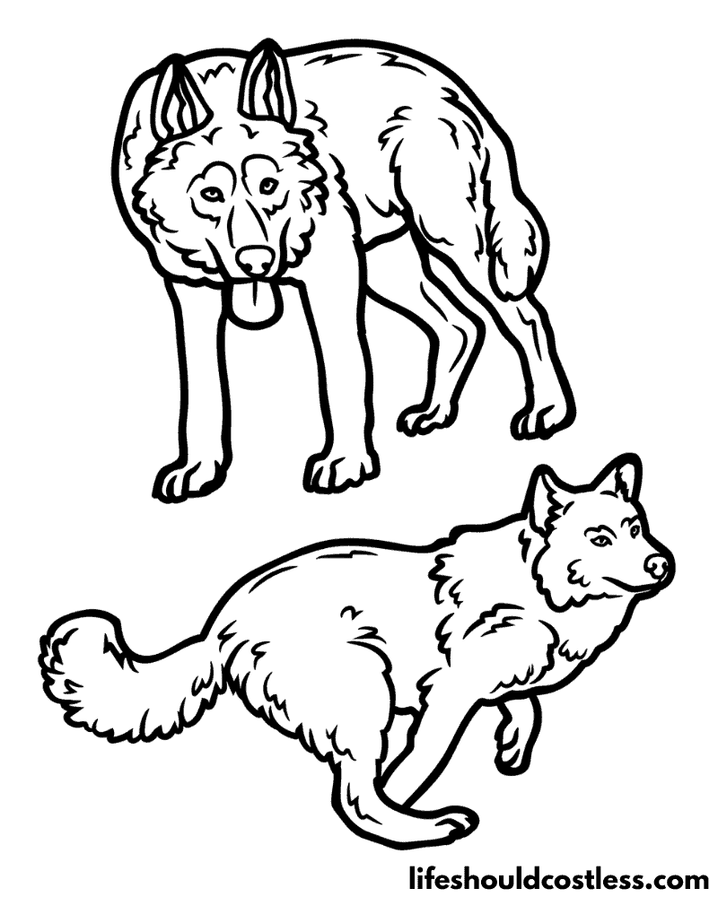 Wolves coloring pages example