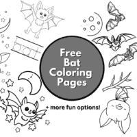 bat coloring book