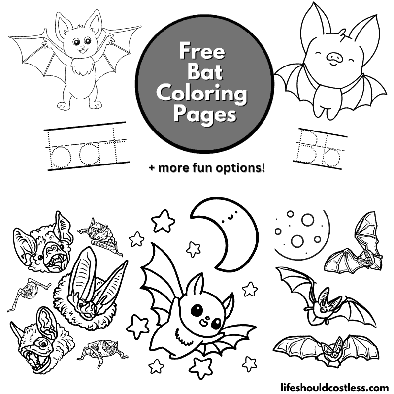 halloween bat color pages