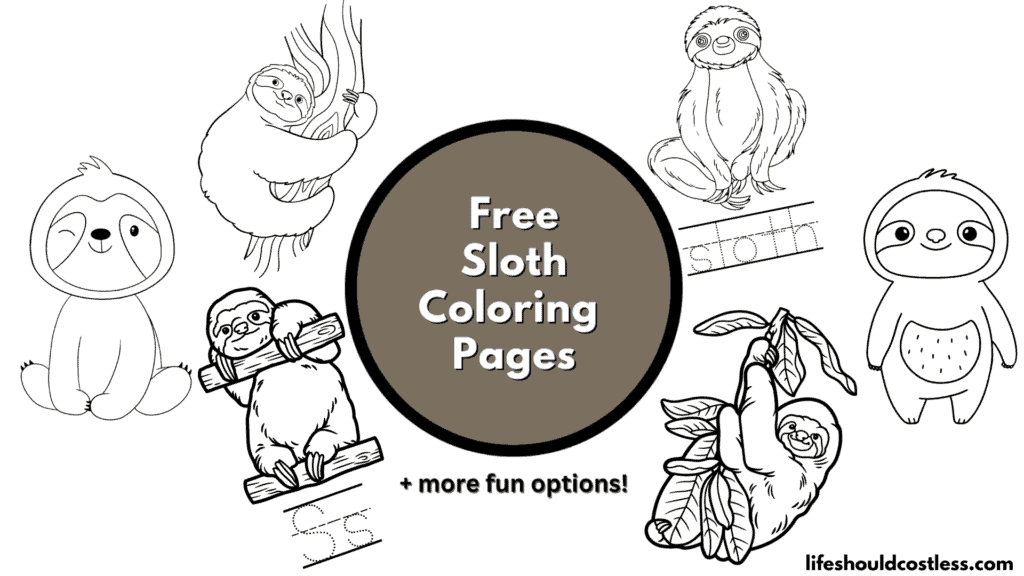sloth color sheet