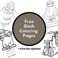 sloth color sheet