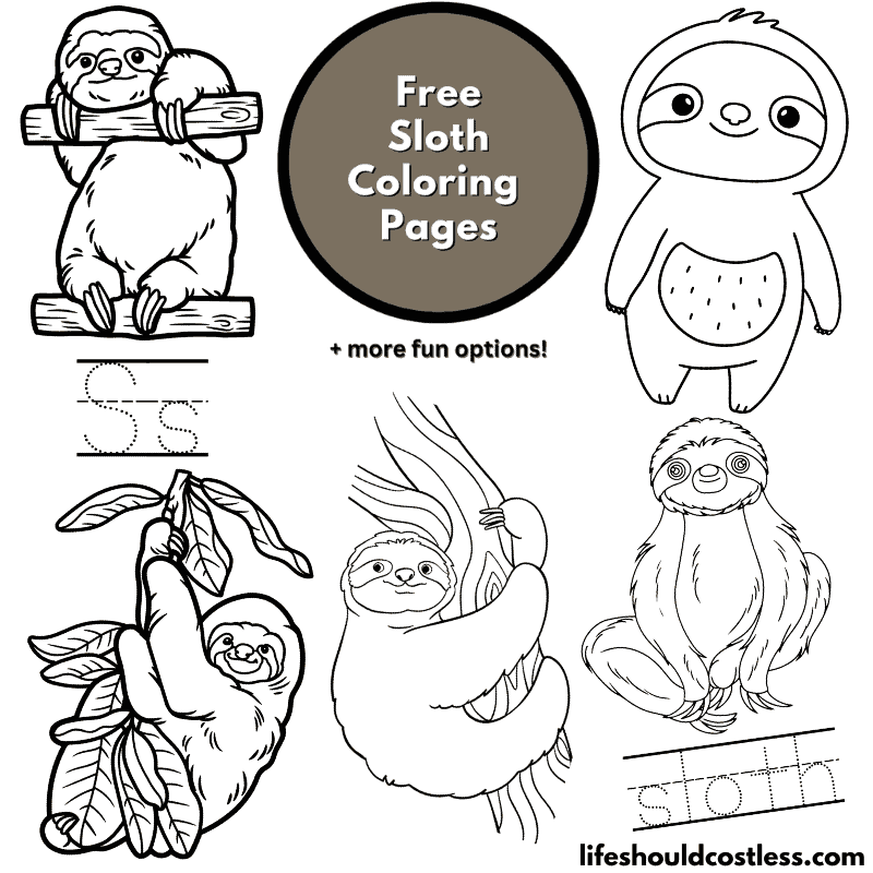sloth pictures to color