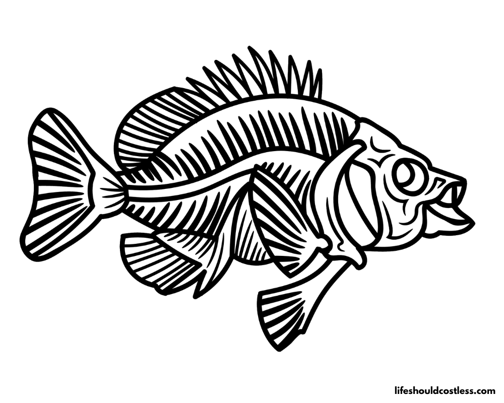 Cartoon Tilapia Fish Skeleton Printables Example