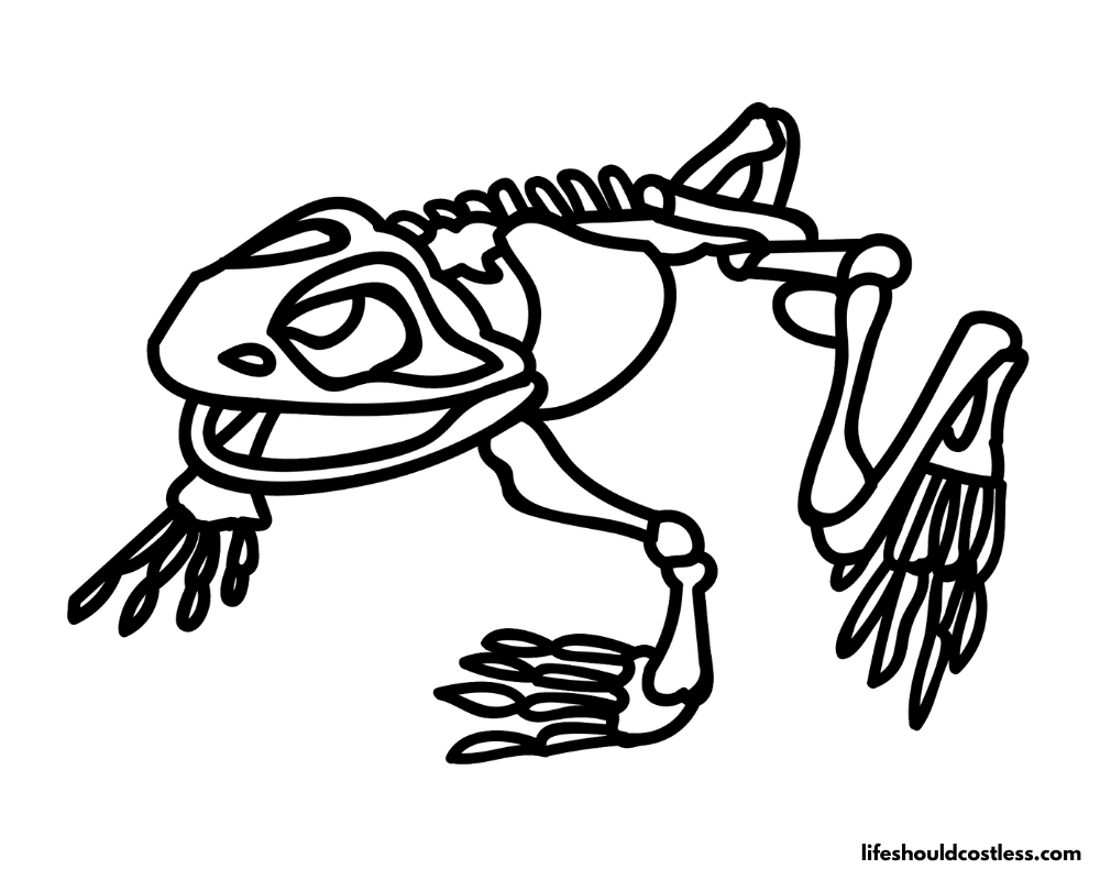 Coloring Pages Of Skeletons Frog Example
