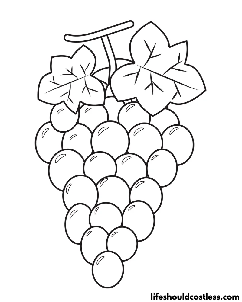 Coloring page grapes example