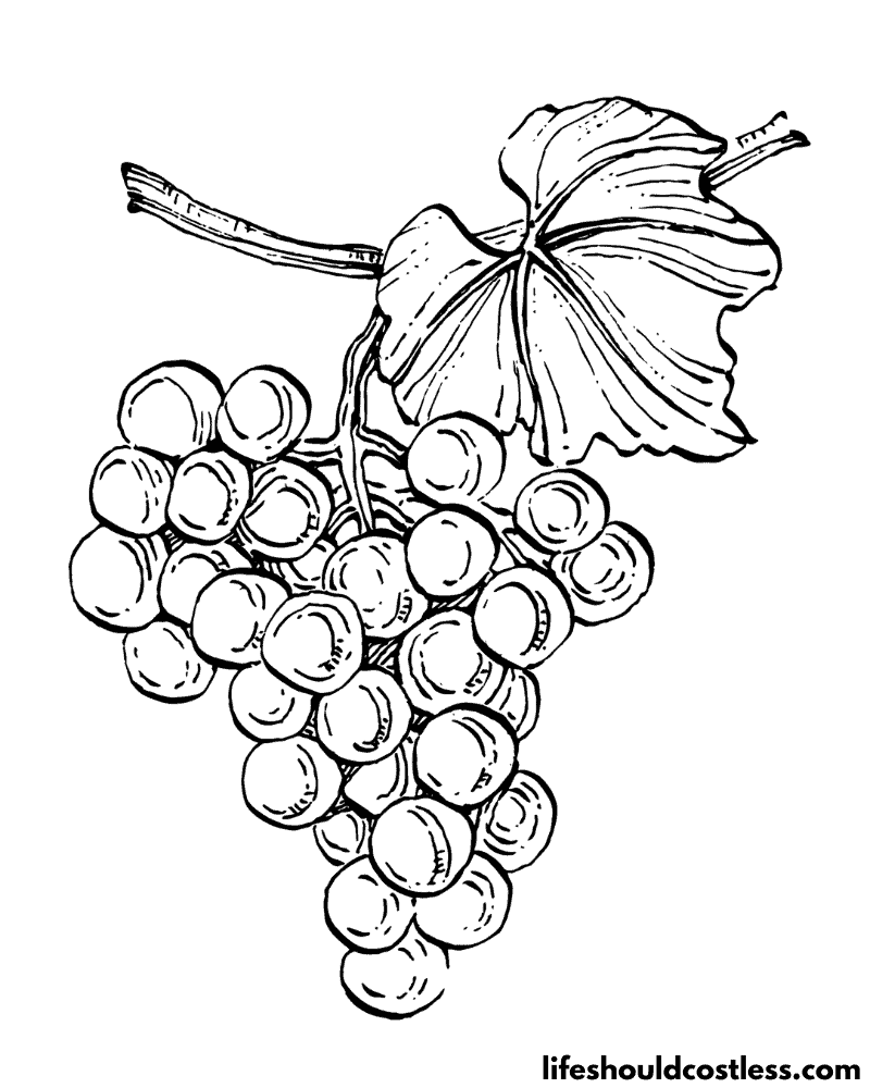 Coloring page of grapes example