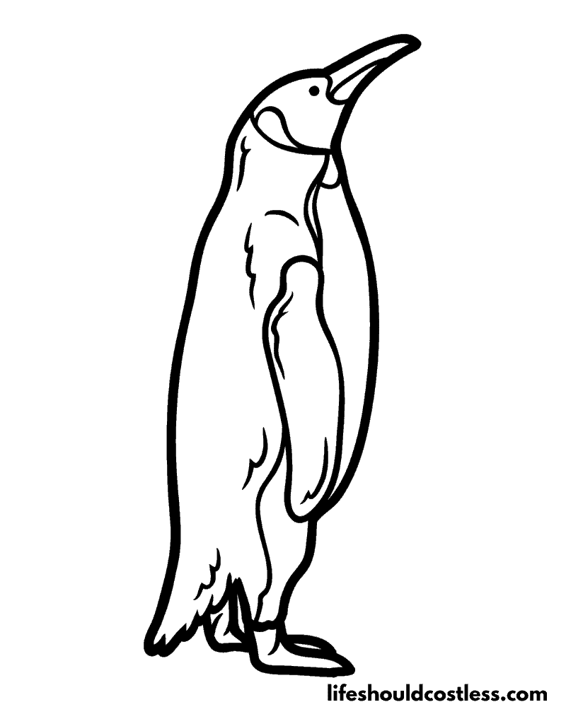 Coloring pages of a penguin example