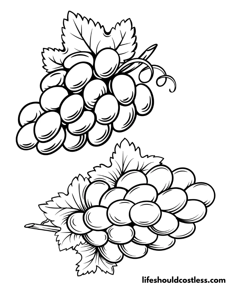 Coloring pages of grapes example
