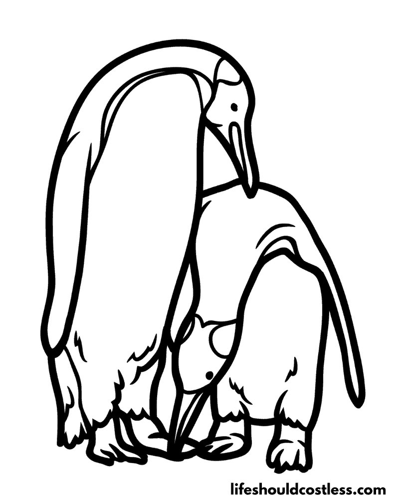Coloring pages of penguin example
