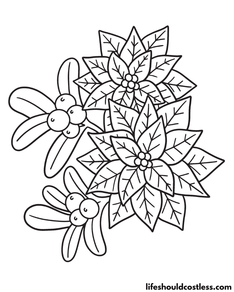 Coloring pages poinsettia example