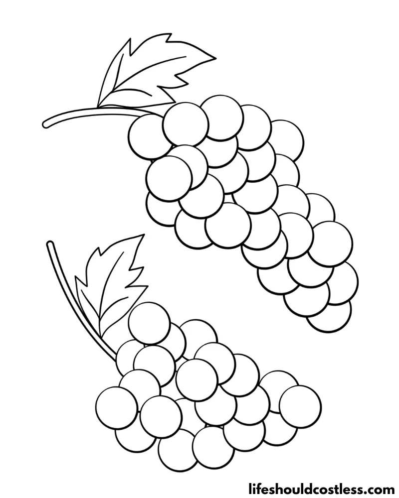 Coloring sheet grapes example