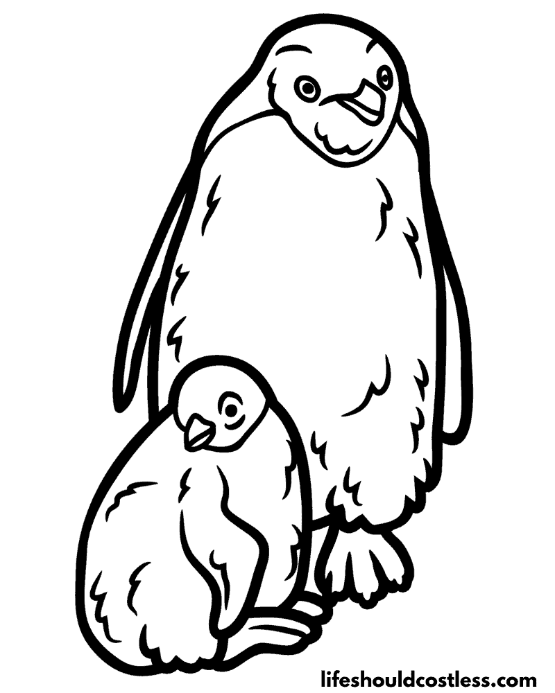 Colouring page penguin example