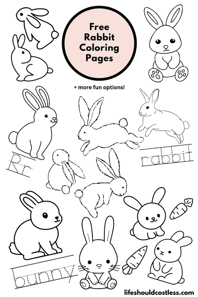 Rabbit with Easter Egg Drawing Coloring Page